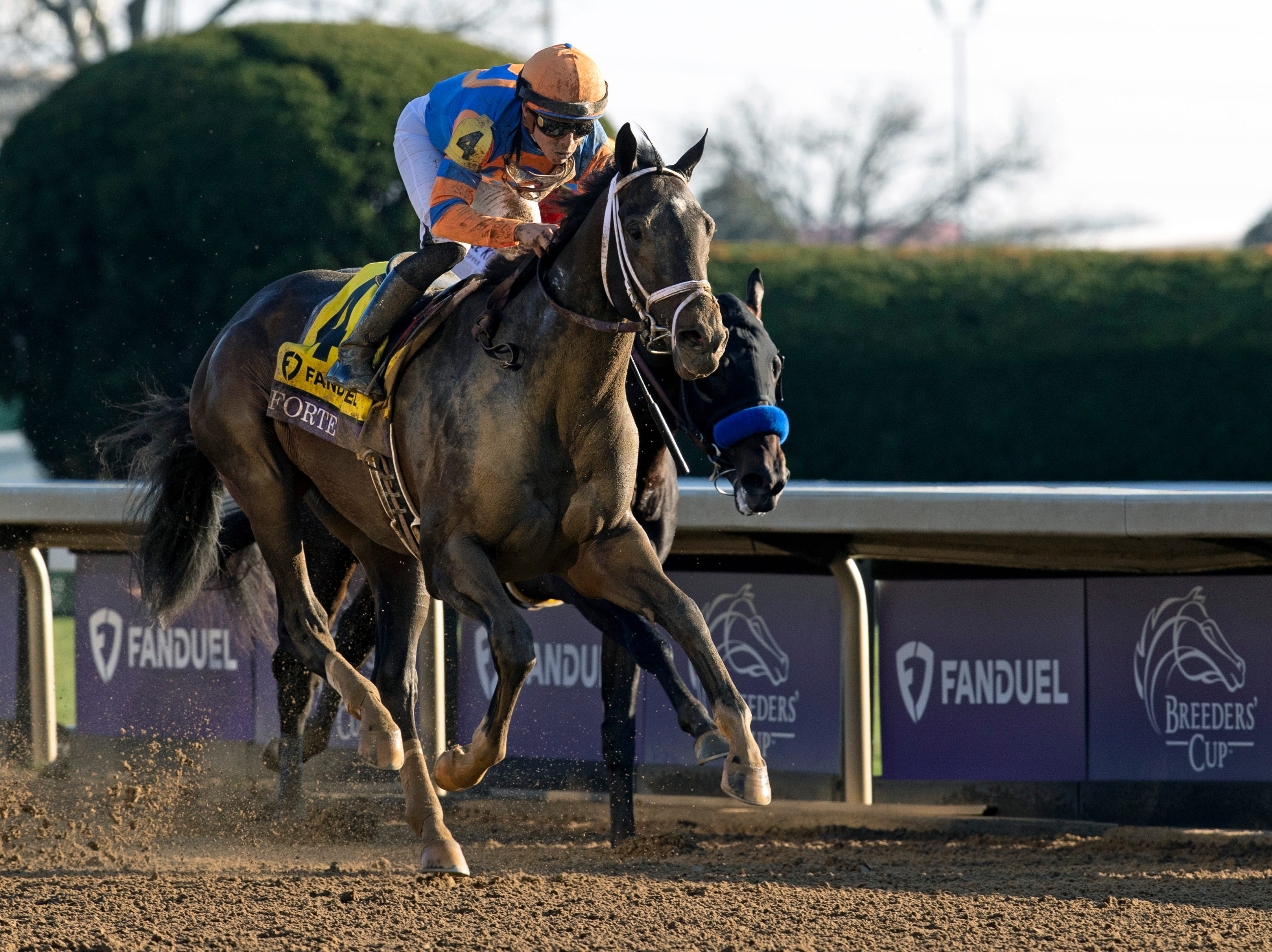 Road To The 2023 Kentucky Derby: Breeders' Cup Juvenile Analysis